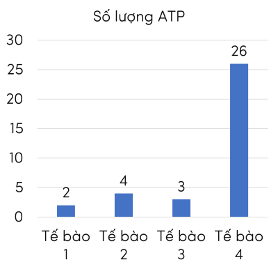 sinh học 11, số lượng ATP trong hô hấp tế bào