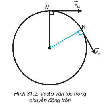 Vecto vận tốc trong chuyển động tròn