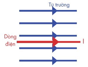 vật lí, lớp 12, lực từ