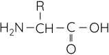 Hóa học 12, Amino acid