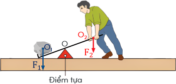 khoa học tự nhiên, lớp 8, đòn bẩy