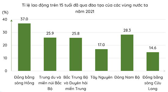 Biểu đồ tỉ lệ lao động đã qua đào tạo