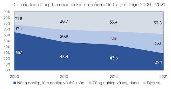 Biểu đồ chuyển dịch cơ cấu lao động