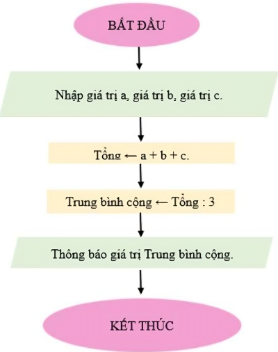 olm, Tin học 9, Luyện tập, KNTT