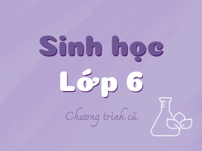 Sinh học 6 (Chương trình cũ)