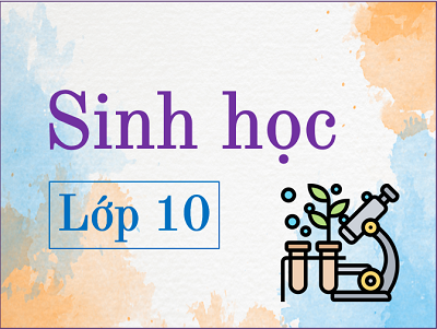 Sinh học 10 (Chương trình cũ) (Cũ)