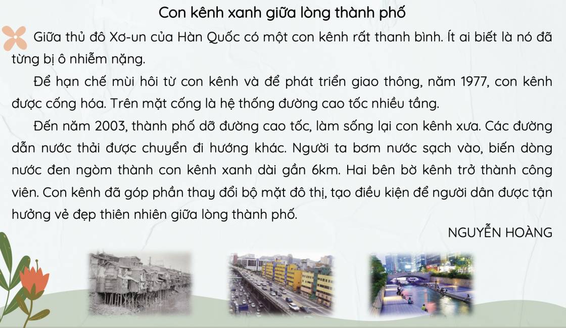 con kênh xanh giữa lòng thành phố