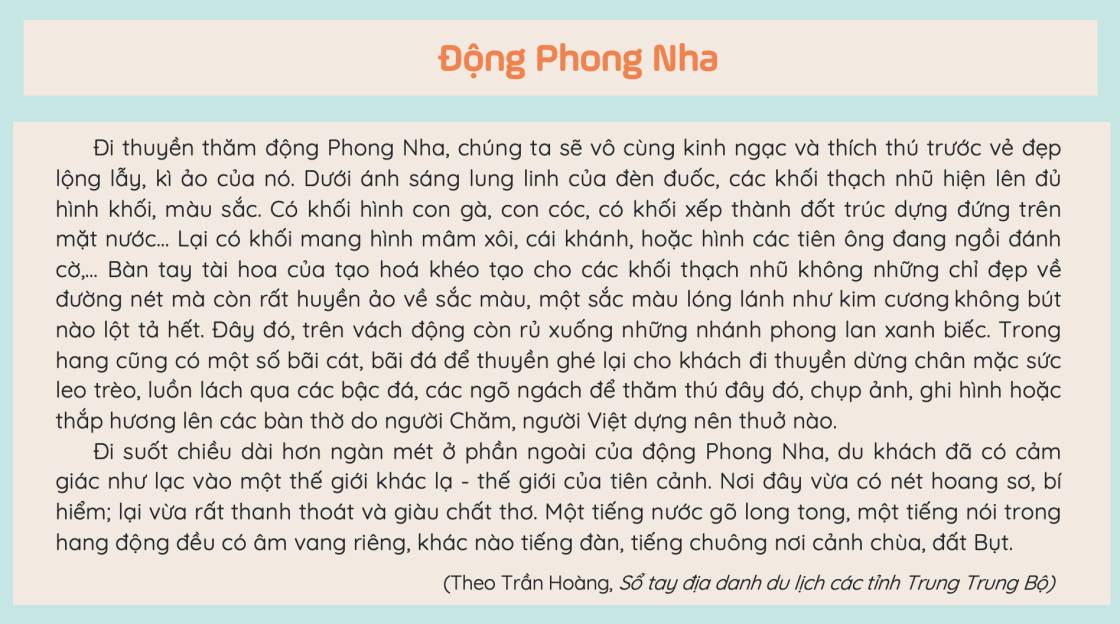 tự đọc sách báo - động phong nha