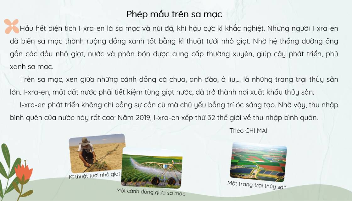 phép mầu trên sa mạc