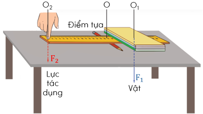 khoa học tự nhiên, lớp 8, đòn bẩy