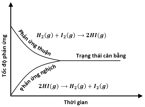 Sự biến thiên tốc độ phản ứng thuận và nghịch theo thời gian