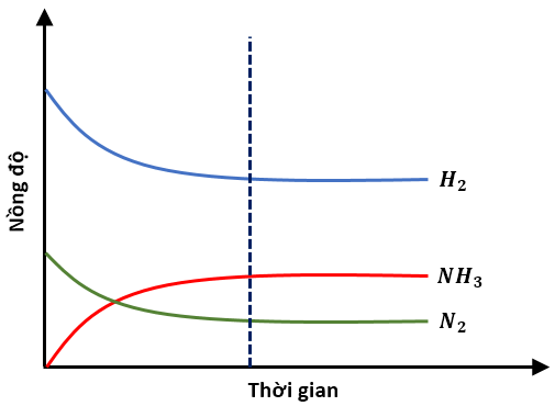 Đồ thị biểu diễn nồng độ các chất trong phản ứng theo thời gian