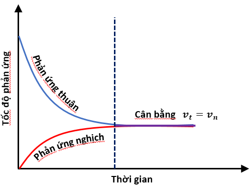 Đồ thị biểu diễn tốc độ phản ứng thuận và phản ứng nghịch theo thời gian