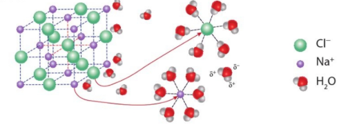 Vai trò của nước trong sự điện li NaCl
