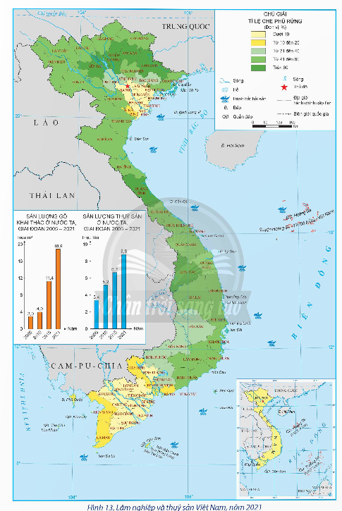 Tình hình phát triển và phân bố của lâm nghiệp