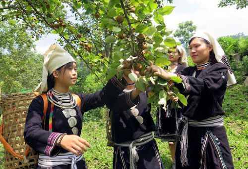 Bình đẳng về kinh tế.