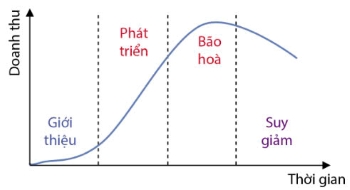 Công nghệ 10, Vòng đời của sản phẩm trên thị trường