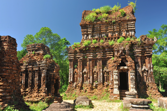 Mỹ Sơn Sanctuary olm