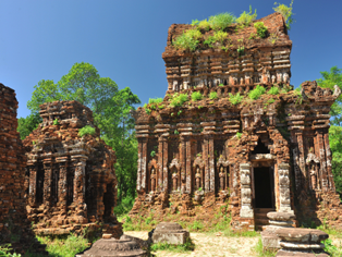 Mỹ Sơn Sanctuary olm