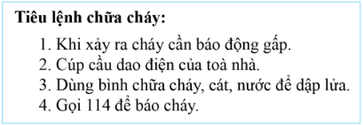 danh sách liệt kê, olm