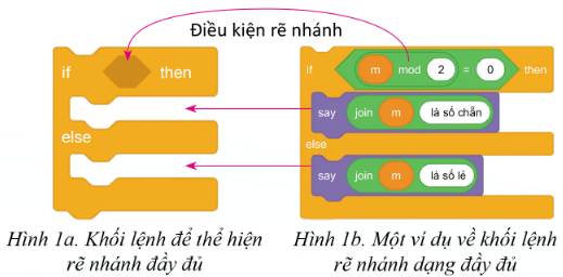 Ví dụ điều kiện rẽ nhánh đầy đủ