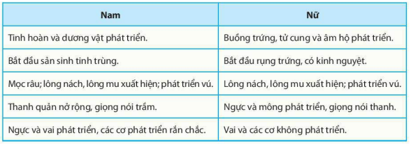 Sự biến đổi cơ thể trong giai đoạn dậy thì