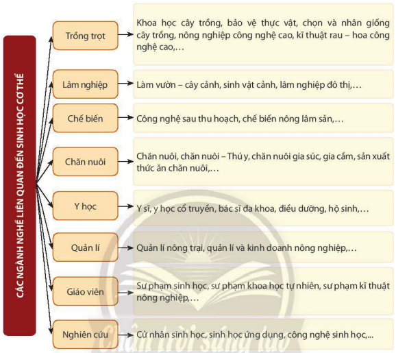 Các ngành nghề liên quan đến sinh học