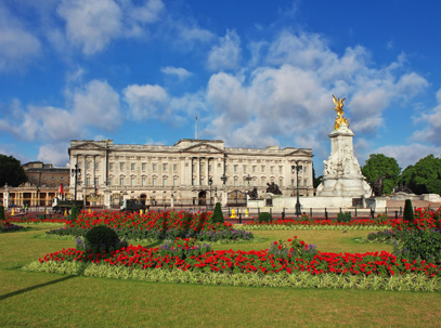 Buckingham Palace olm