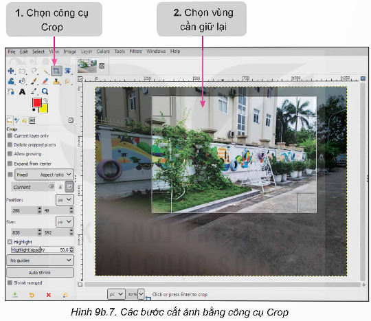 Các bước cắt ảnh bằng công cụ Crop