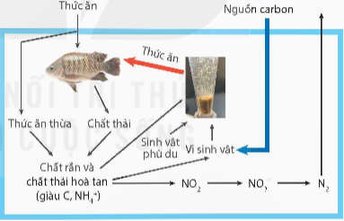 Công nghệ 10, Nguyên lí hoạt động của hệ thống Biofloc