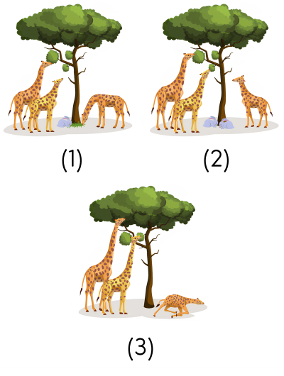 khoa học tự nhiên 9, quan điểm tiến hóa của Darwin