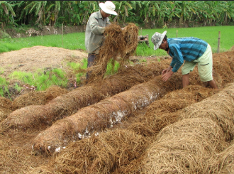 Công nghệ 10, olm, kntt