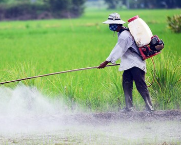 Công nghệ 10, olm, cánh diều