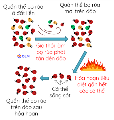 sinh học 12, một số nguyên nhân dẫn đến phiêu bạt di truyền