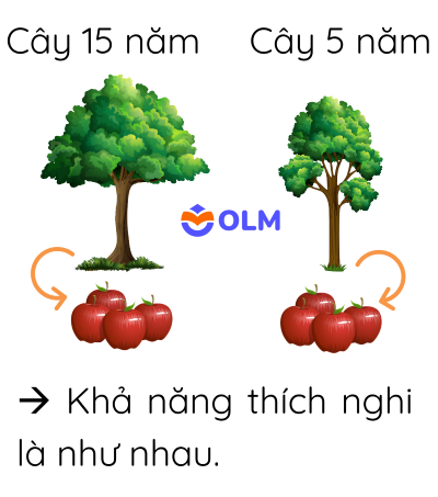 sinh học 12, giá trị thích nghi