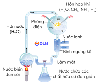 sinh học 12, thí nghiệm của Miller