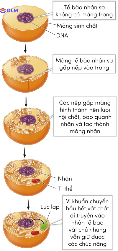 sinh học 12, tiến hóa sinh học