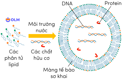 sinh học 12, tiến hóa tiền sinh học