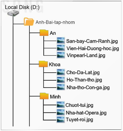 Vi dụ về cây thư mục hợp lí