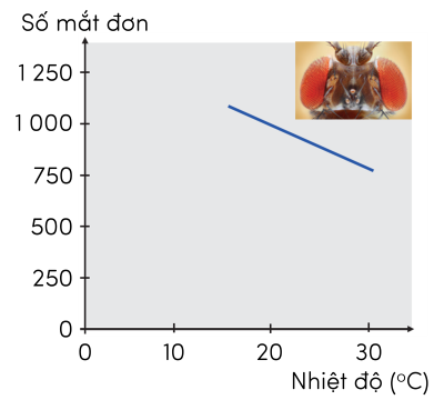 sinh học 12, ảnh hưởng nhiệt độ đến kiểu hình mắt ở ruồi giấm