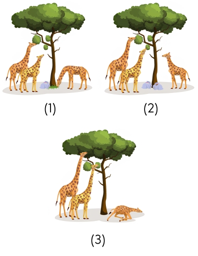 khoa học tự nhiên 9, quan điểm tiến hóa của Darwin