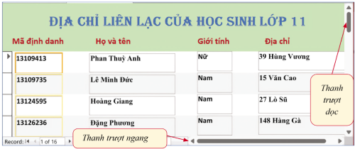 Một biểu mẫu cho người dùng xem