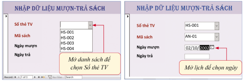 Cách nhập dữ liệu theo lựa chọn