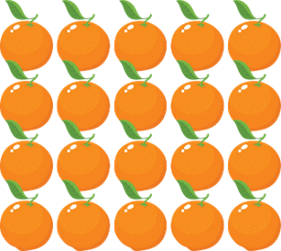 twenty oranges olm