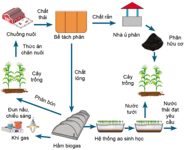 Công nghệ 11, Tái tạo năng lượng trong chăn nuôi bền vững