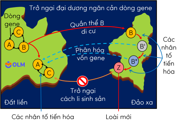 sinh học 12, hình thành loài khác khu vực địa lí