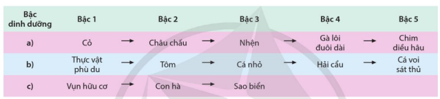 Một số chuỗi thức ăn