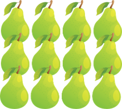 12 pears olm