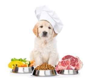 homemade-dog-food-scaled-1-1024x888.jpg