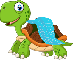 towel on turtle olm